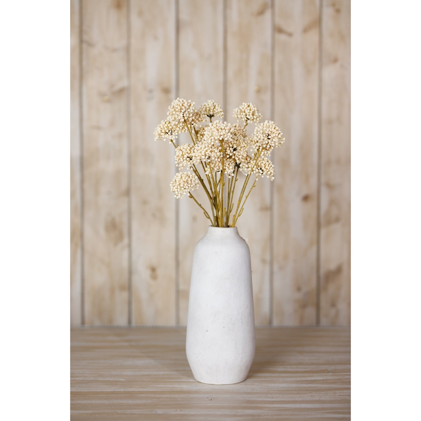 Cream allium spray in a minimalist white vase, showcasing soft cream flowers atop flexible stems, set against a rustic wood backdrop.