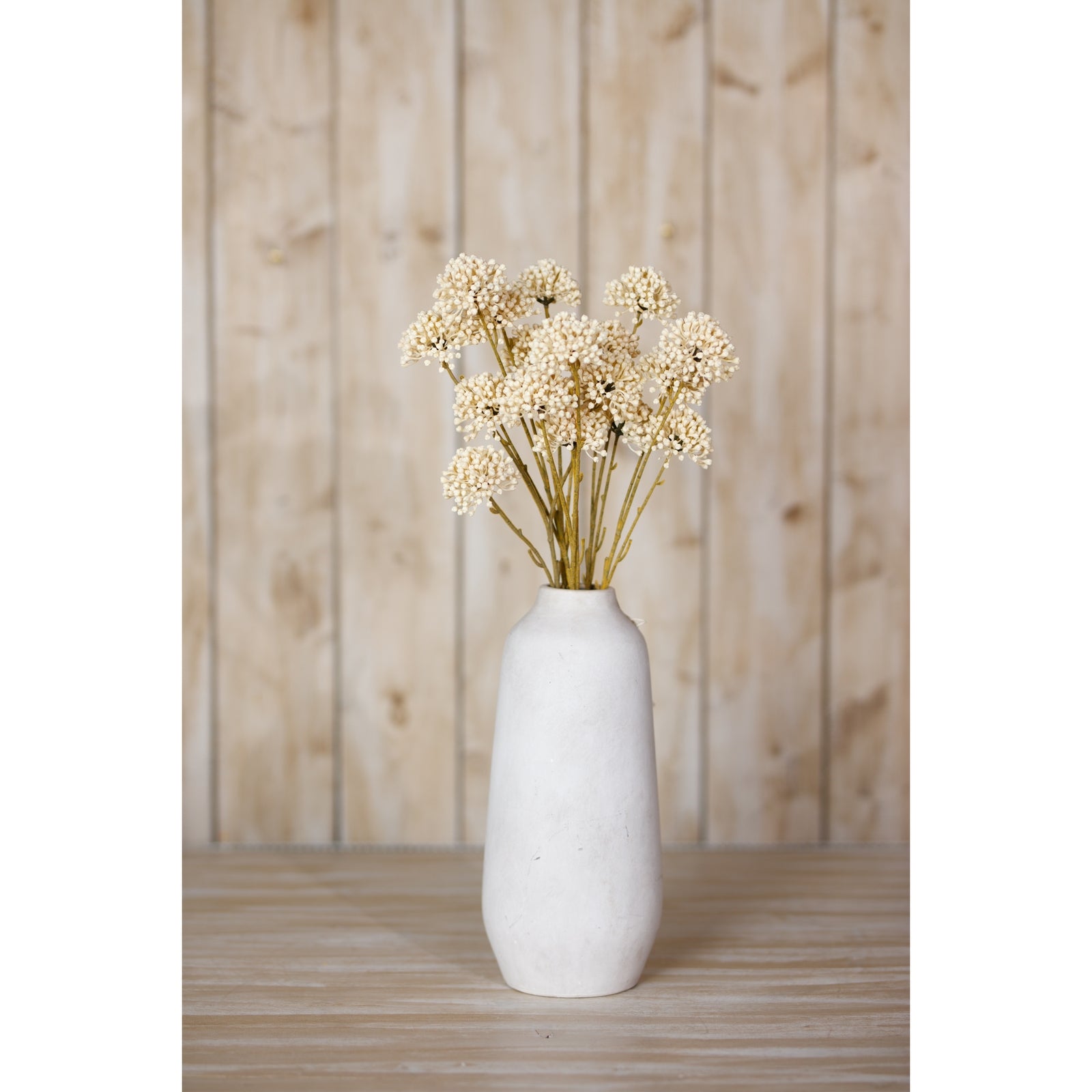 Cream allium spray in a minimalist white vase, showcasing soft cream flowers atop flexible stems, set against a rustic wood backdrop.