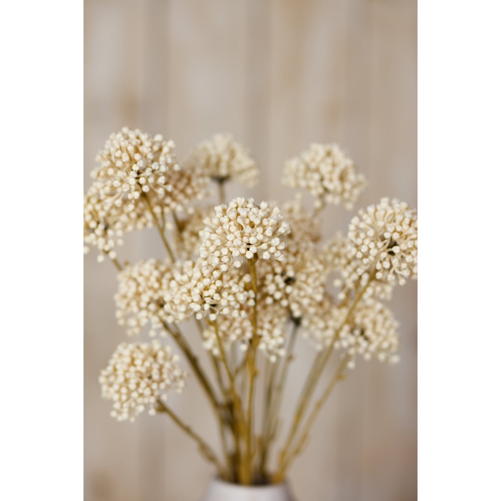 Soft cream allium spray with delicate, detailed flower clusters on flexible stems, perfect for elegant home decor.