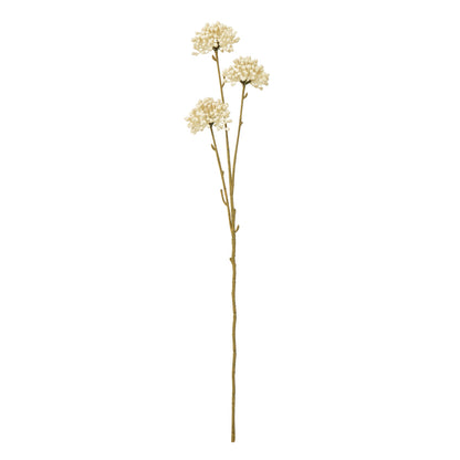 Cream Allium Spray - Single Stem Flowers from the Quanta Home collection.