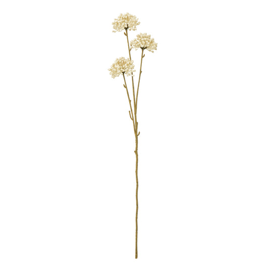 Cream Allium Spray - Single Stem Flowers from the Quanta Home collection.
