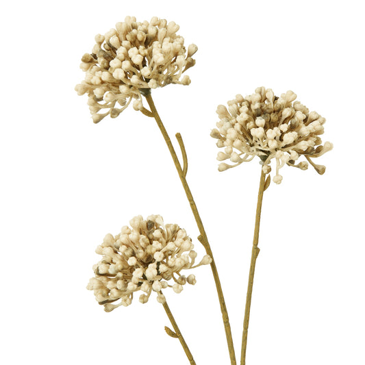 Warm brown allium spray with intricate spherical blooms and natural-looking stems, perfect for elegant decor in any setting.
