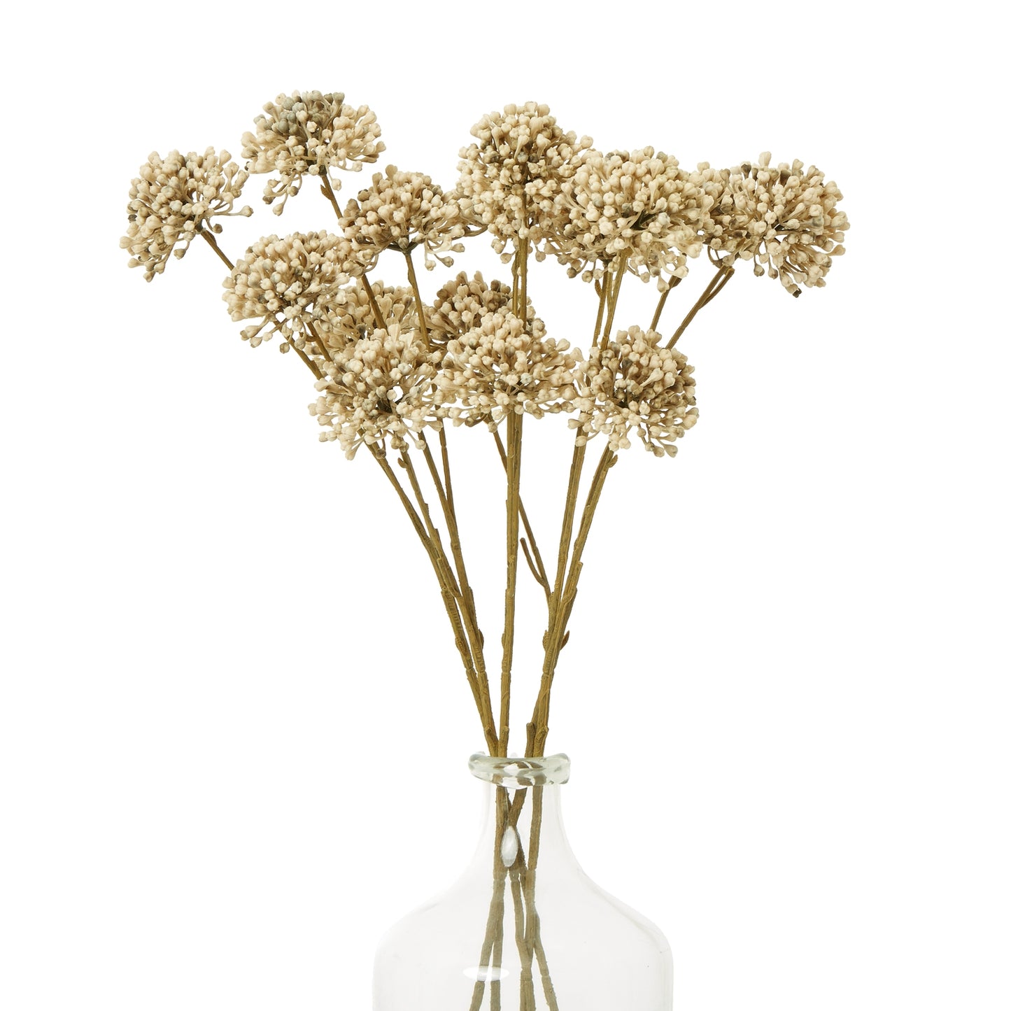 Brown Allium spray featuring intricate, lifelike spherical blooms in earthy tones, arranged in a clear glass vase.