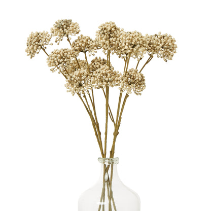 Brown Allium Spray - Single Stem Flowers from the Quanta Home collection.