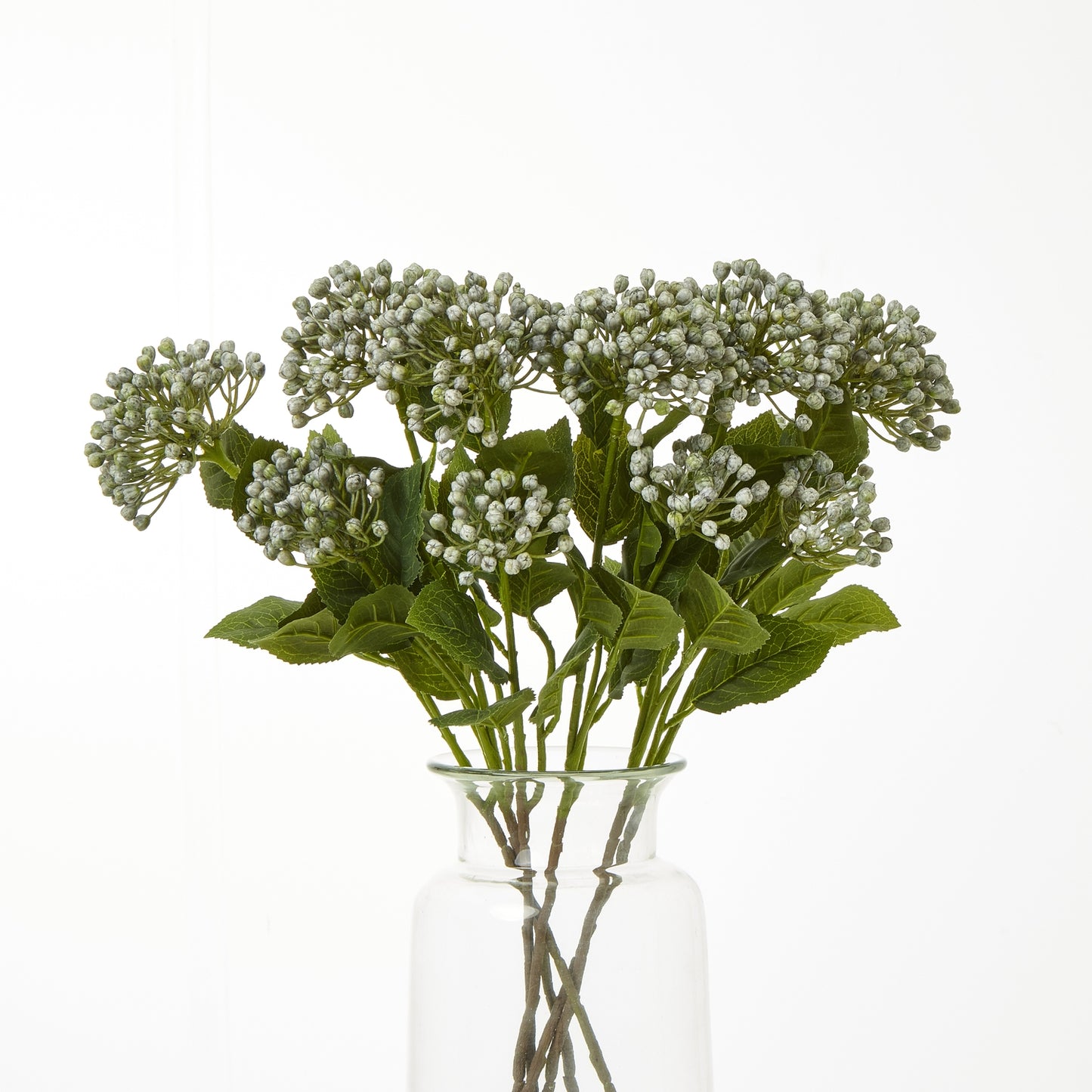 Vibrant blue hydrangea spray with rounded clusters and lush green leaves, showcased in a clear glass vase.