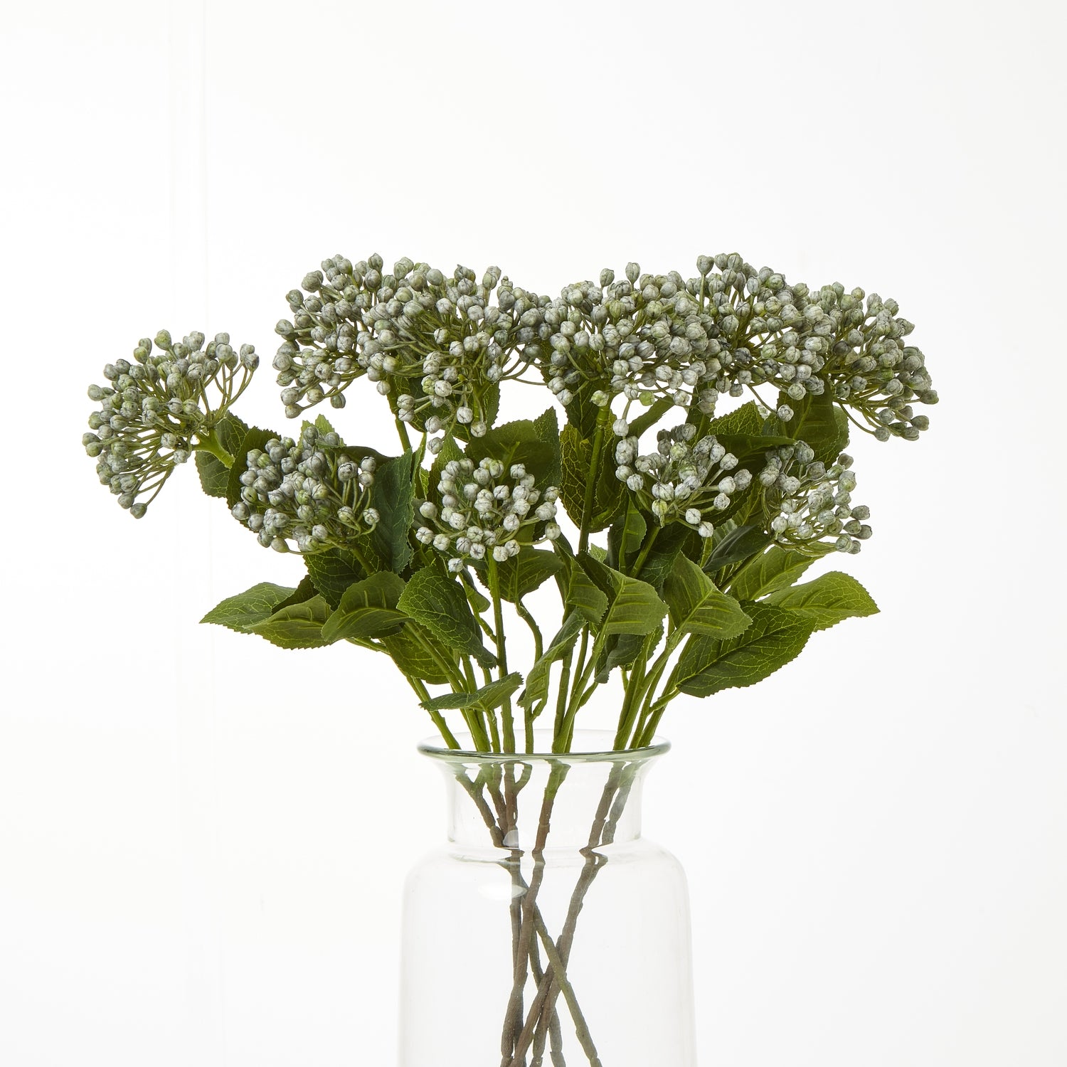 Vibrant blue hydrangea spray with rounded clusters and lush green leaves, showcased in a clear glass vase.