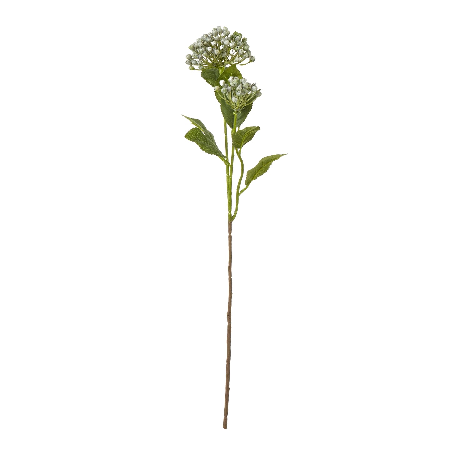 Vibrant blue budding hydrangea spray with rounded clusters and lush green leaves, ideal for elegant floral arrangements.