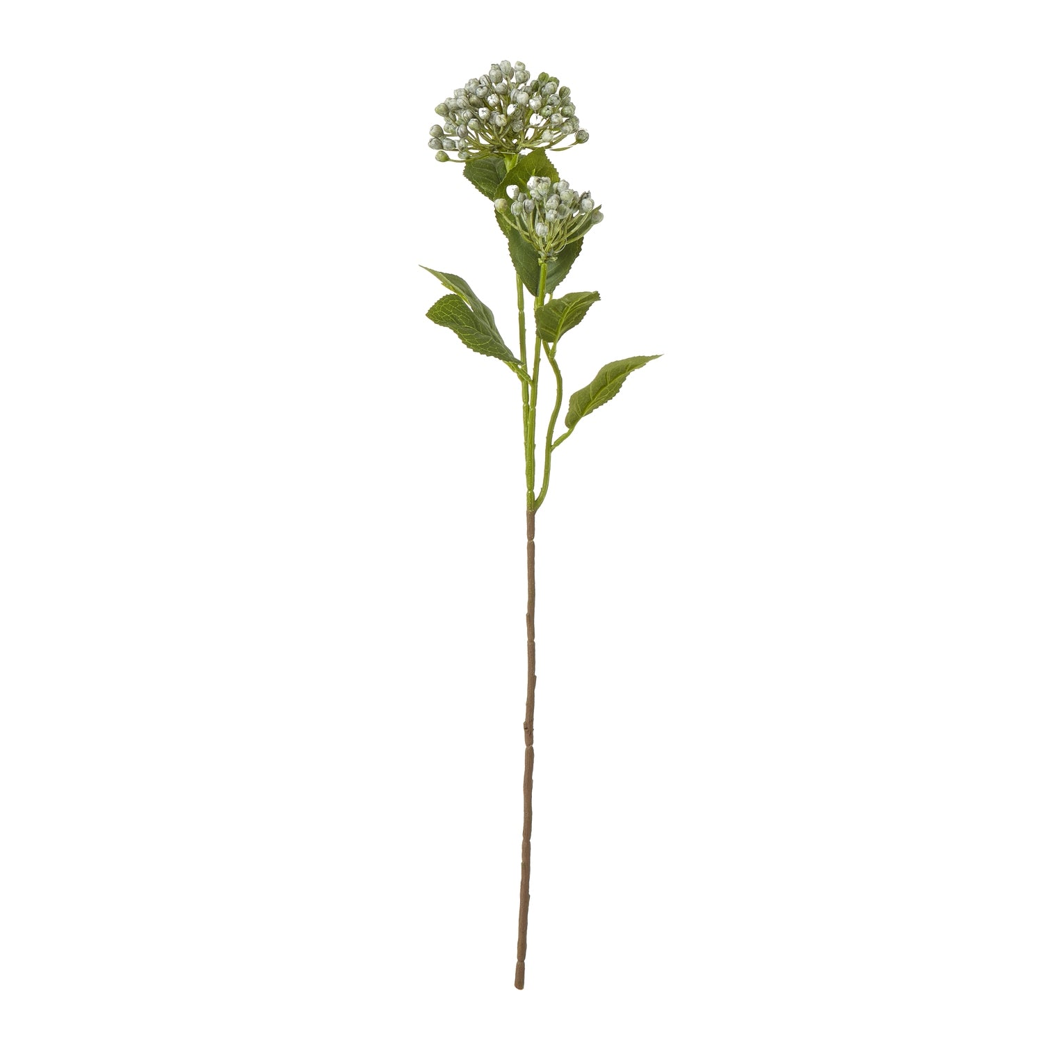 Vibrant blue budding hydrangea spray with rounded clusters and lush green leaves, ideal for elegant floral arrangements.