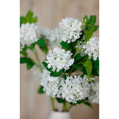 Cream Snowball Viburnum Spray - Single Stem Flowers from the Quanta Home collection.