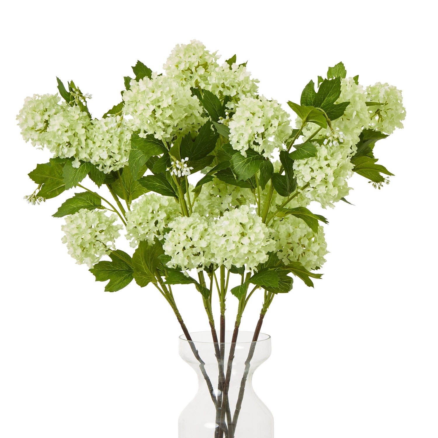 Lush green Snowball Viburnum spray with vibrant clusters of blooms and rich foliage, perfect for elegant floral arrangements.