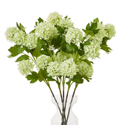 Green Snowball Viburnum Spray - Single Stem Flowers from the Quanta Home collection.