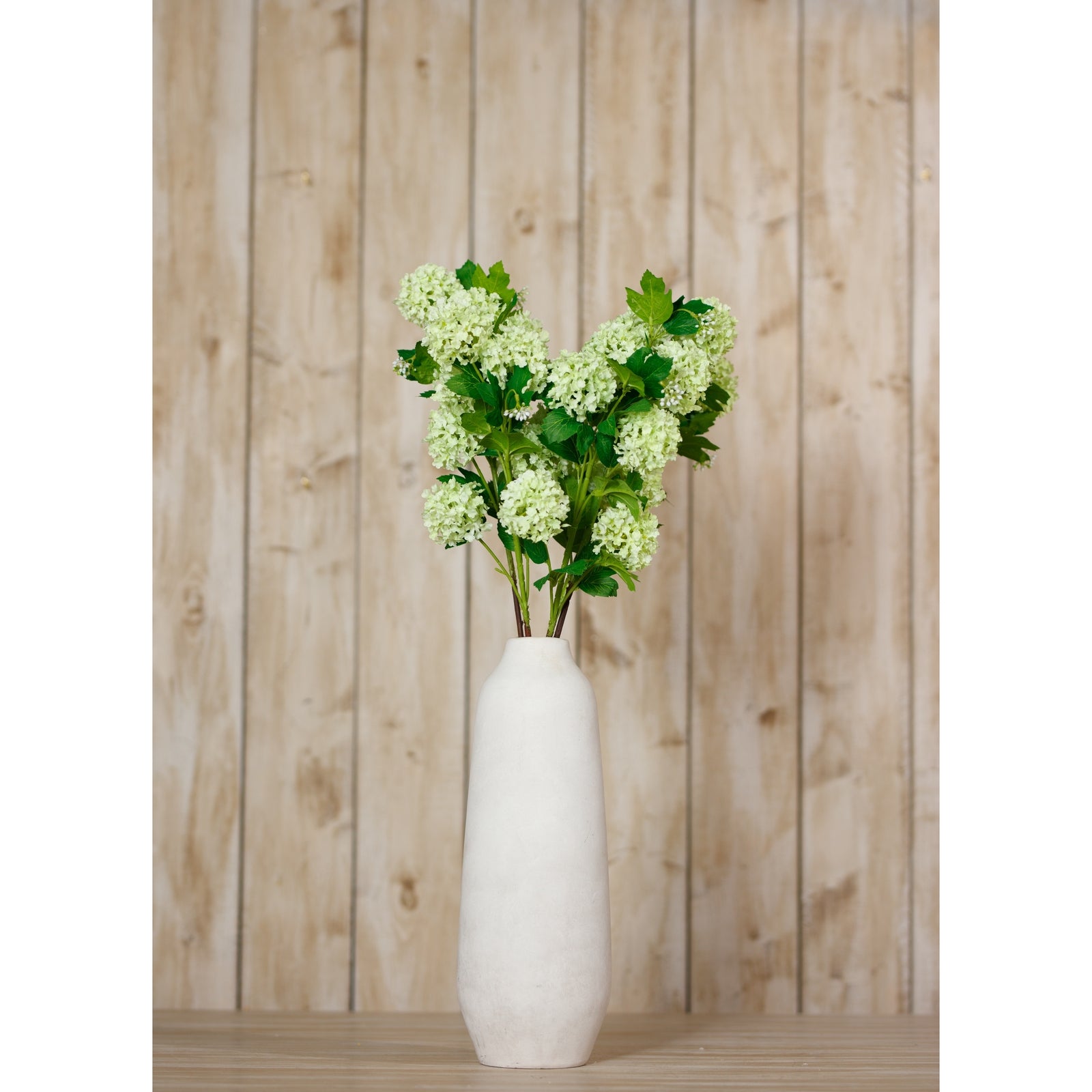 Lush green Snowball Viburnum spray in a modern white vase, showcasing textured blooms and vibrant foliage against a rustic wooden background.