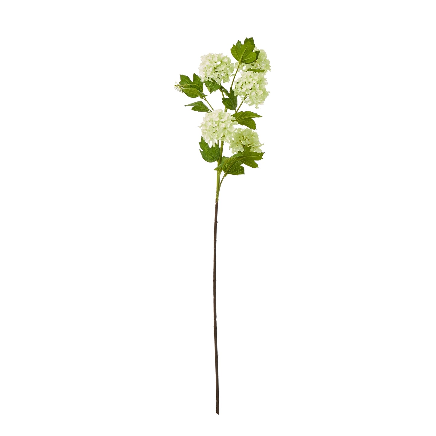 Lush, green artificial Green Snowball Viburnum spray with textured foliage and clusters of vibrant blooms on a slender stem.