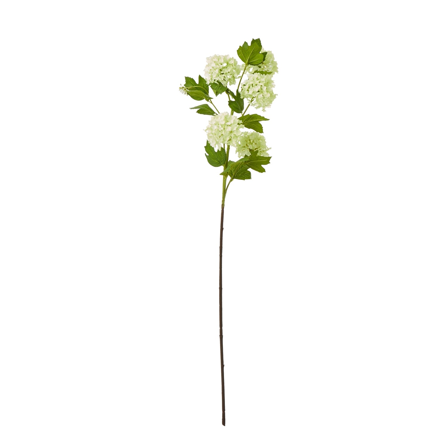Lush, green artificial Green Snowball Viburnum spray with textured foliage and clusters of vibrant blooms on a slender stem.