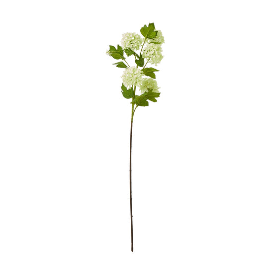 Green Snowball Viburnum Spray - Single Stem Flowers from the Quanta Home collection.