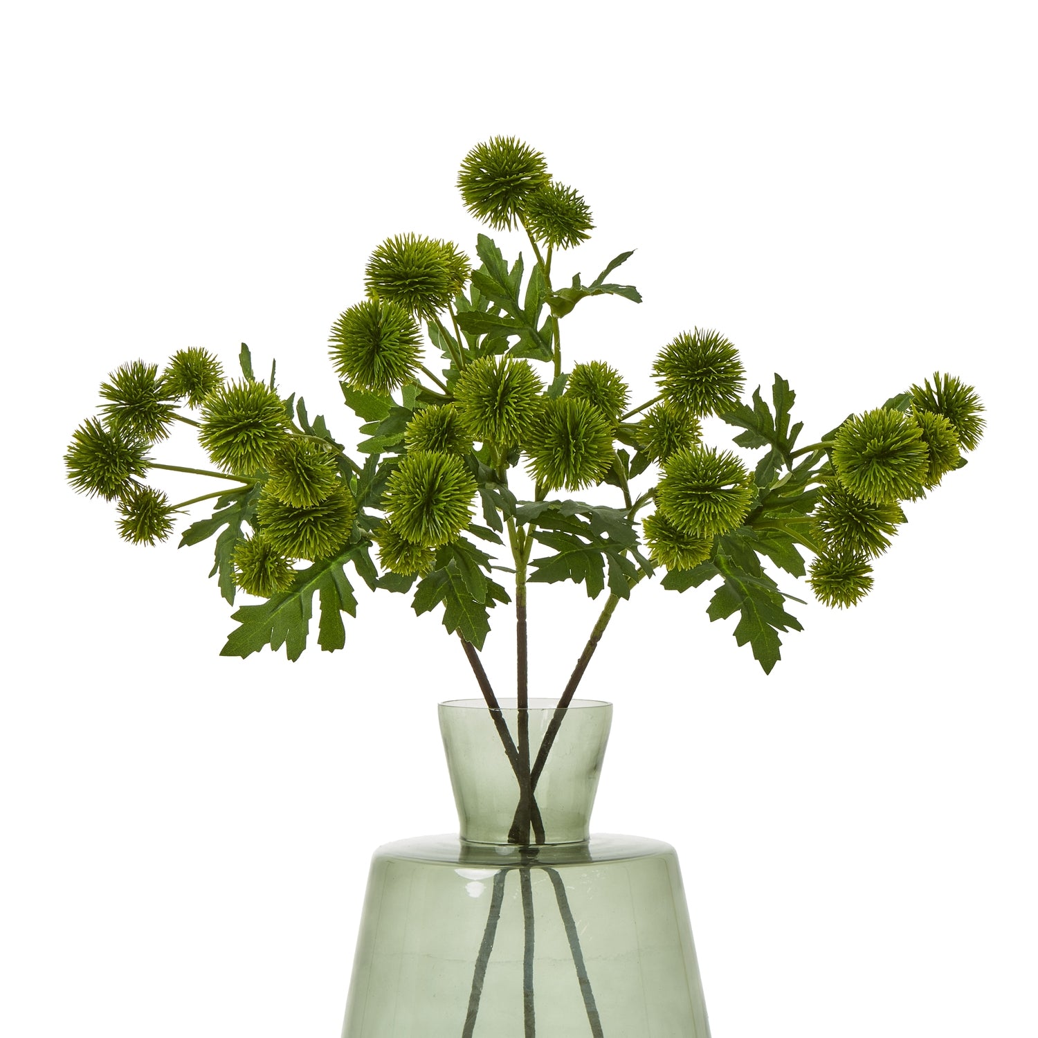 Vibrant green Globe Thistle spray in a modern glass vase, featuring spiky spherical blooms and lush leaves for elegant decor.