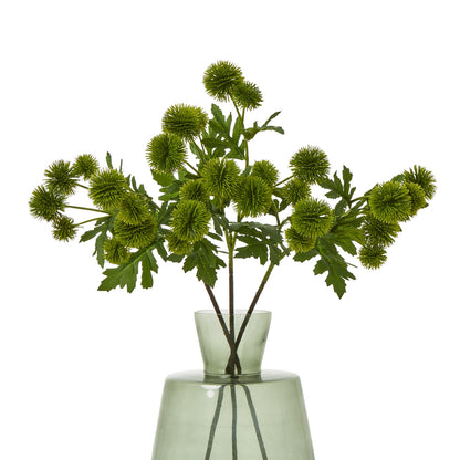 Green Globe Thistle Spray - Single Stem Flowers from the Quanta Home collection.