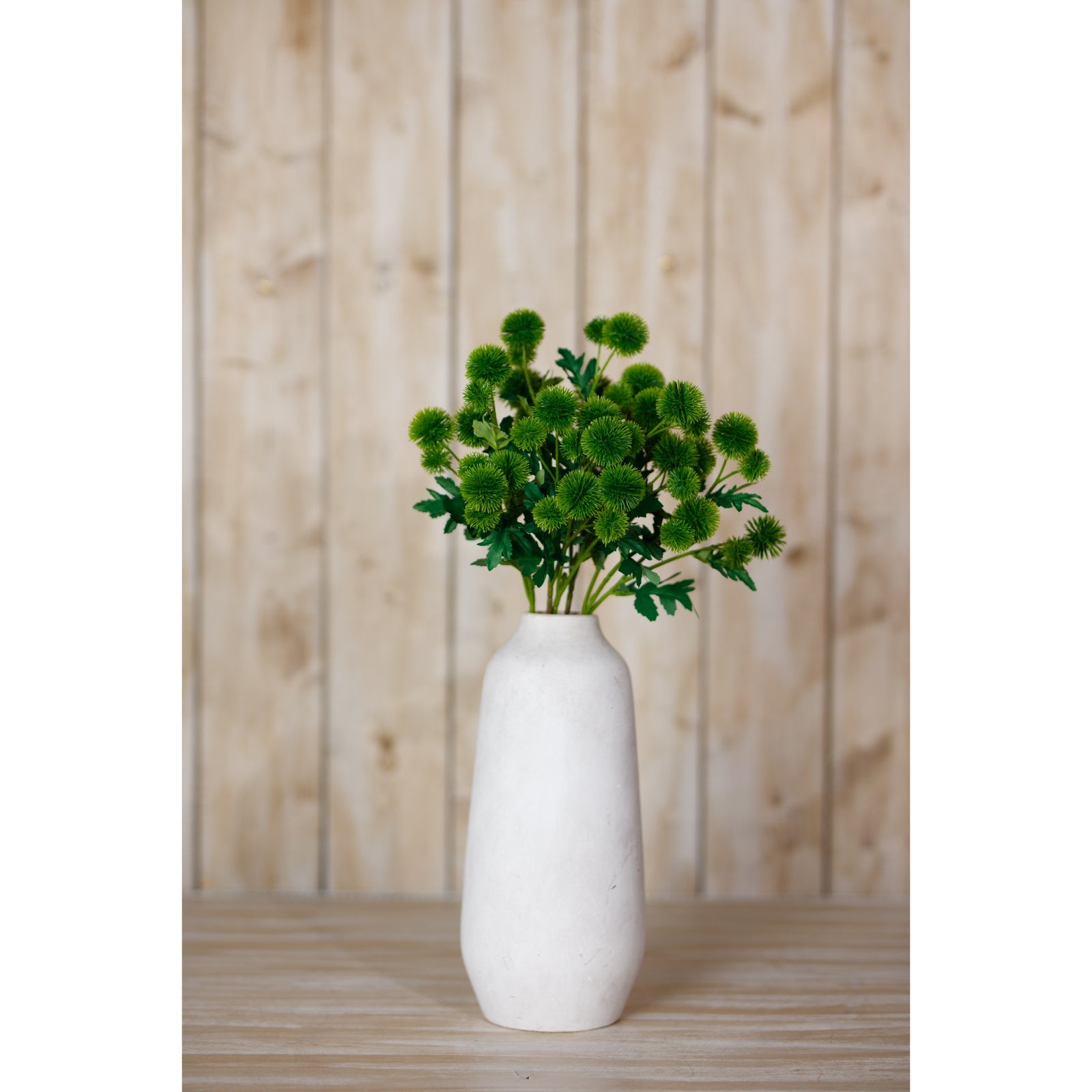 Lush green globe thistle spray in a white vase, showcasing spherical blooms and vibrant foliage against a textured wooden background.