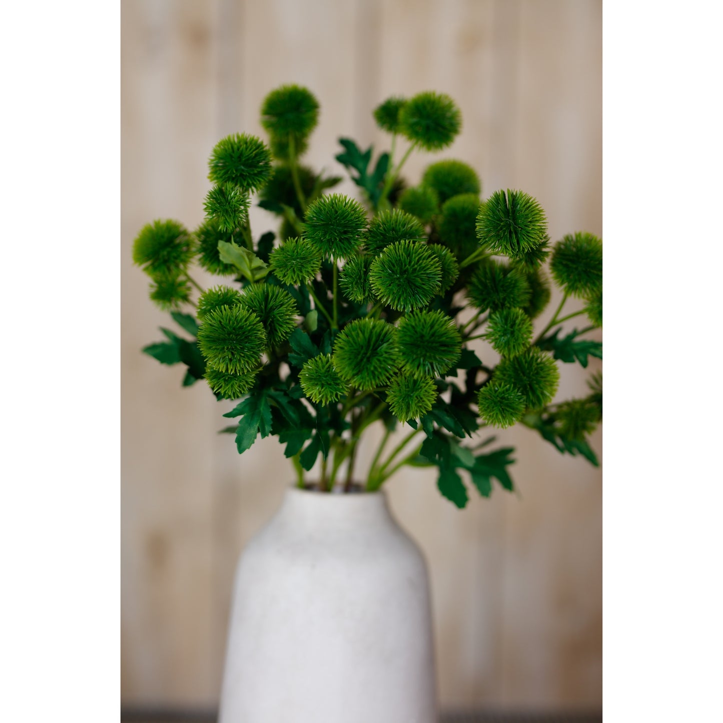 Lush Green Globe Thistle Spray in a white vase, showcasing striking spherical green blooms and vibrant foliage. Perfect for decor.