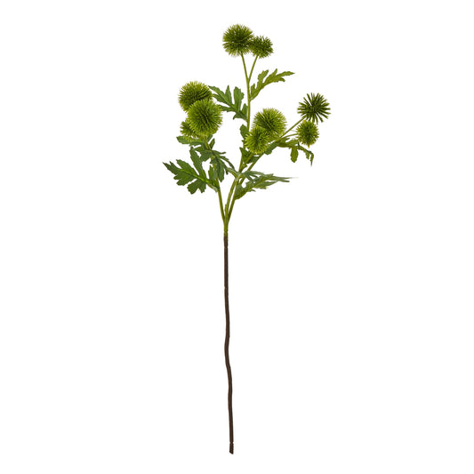 Green Globe Thistle Spray - Single Stem Flowers from the Quanta Home collection.