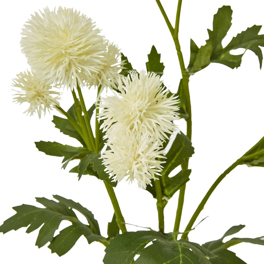 Cream Globe Thistle Spray with spherical white blooms and lush green foliage, perfect for elegant floral displays.