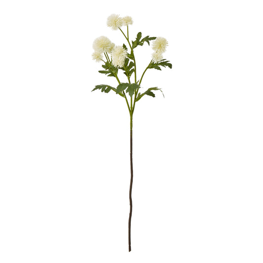 Cream Globe Thistle Spray - Single Stem Flowers from the Quanta Home collection.