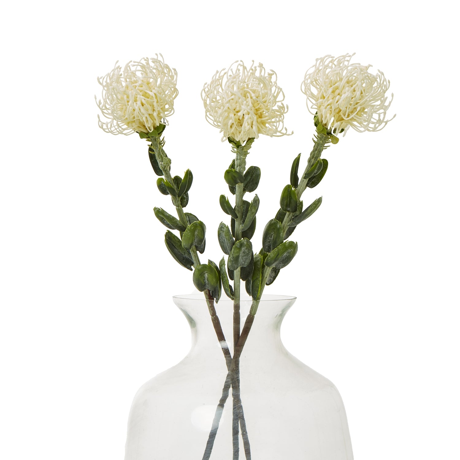 Cream Pincushion Protea spray with intricate, realistic blooms and soft green leaves, displayed in a clear vase for elegant decor.