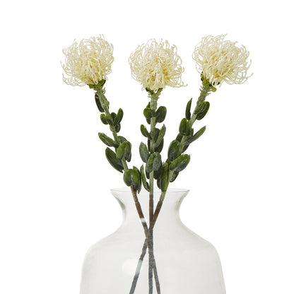 Cream Pincushion Protea Spray - Single Stem Flowers from the Quanta Home collection.