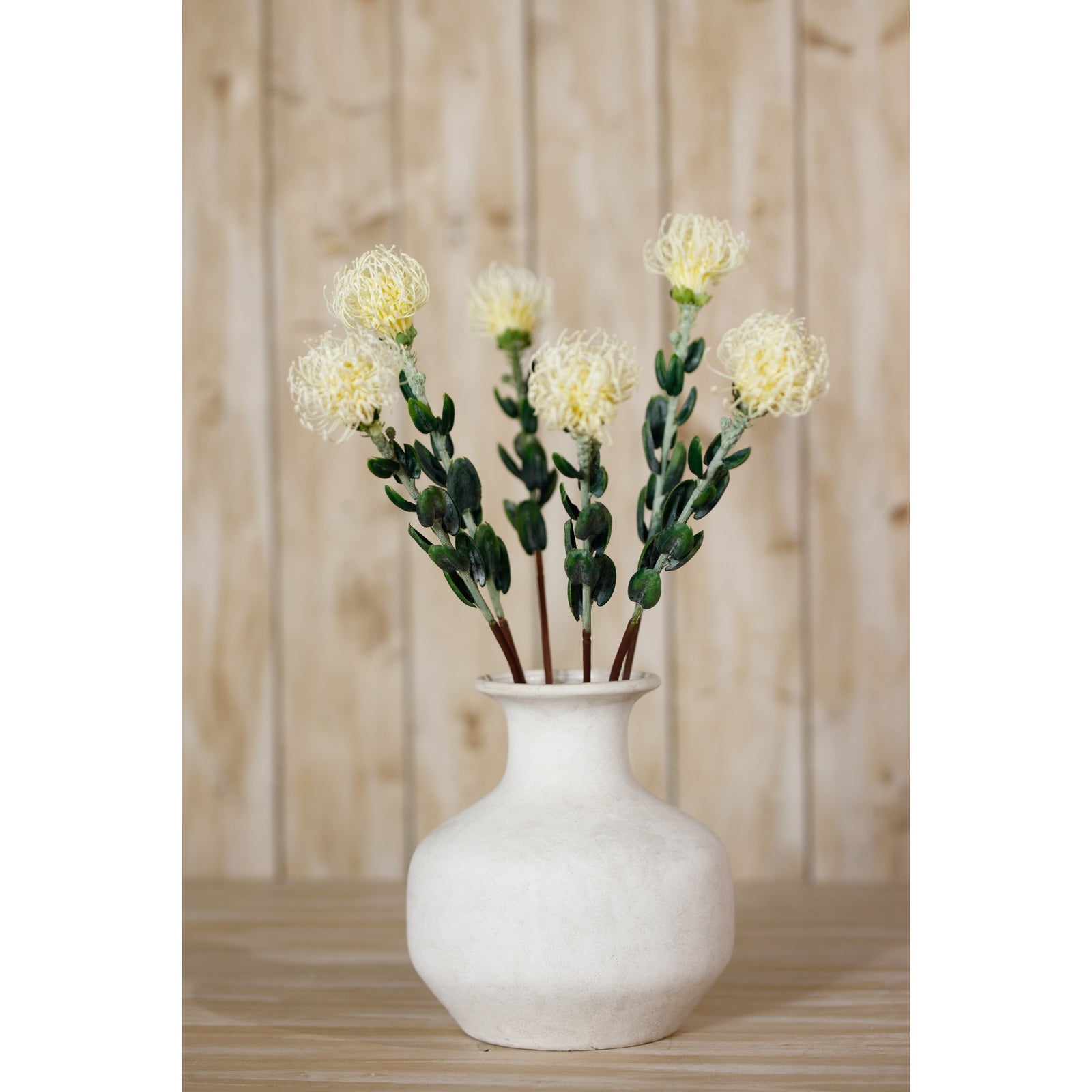 Cream pincushion protea spray in a textured white vase, featuring soft yellow blooms and dark green foliage, against a wooden backdrop.
