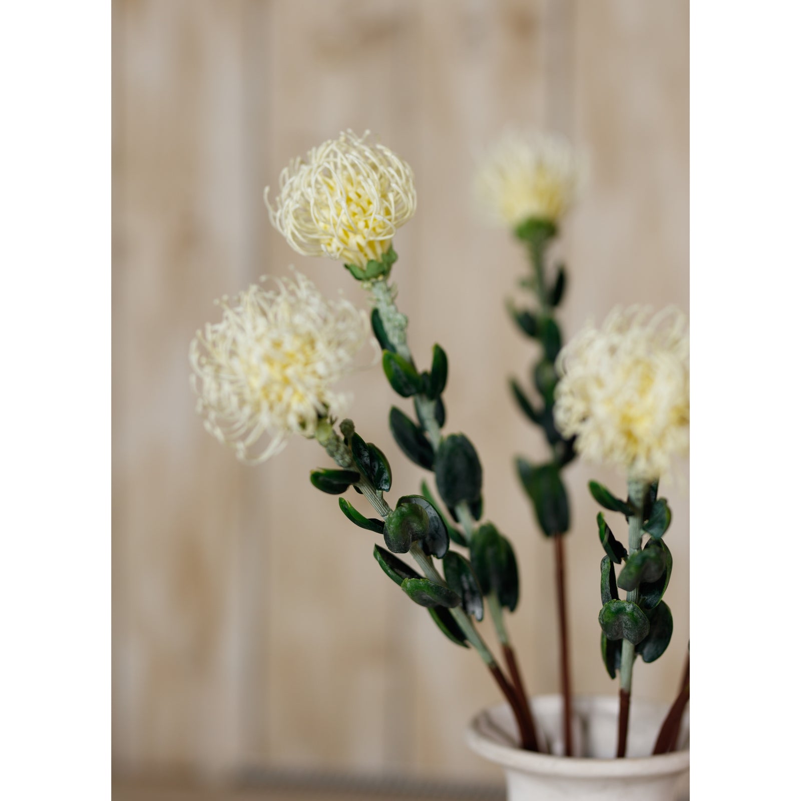 Cream Pincushion Protea spray featuring soft, neutral blooms and lush green leaves, offering an elegant touch for decor.