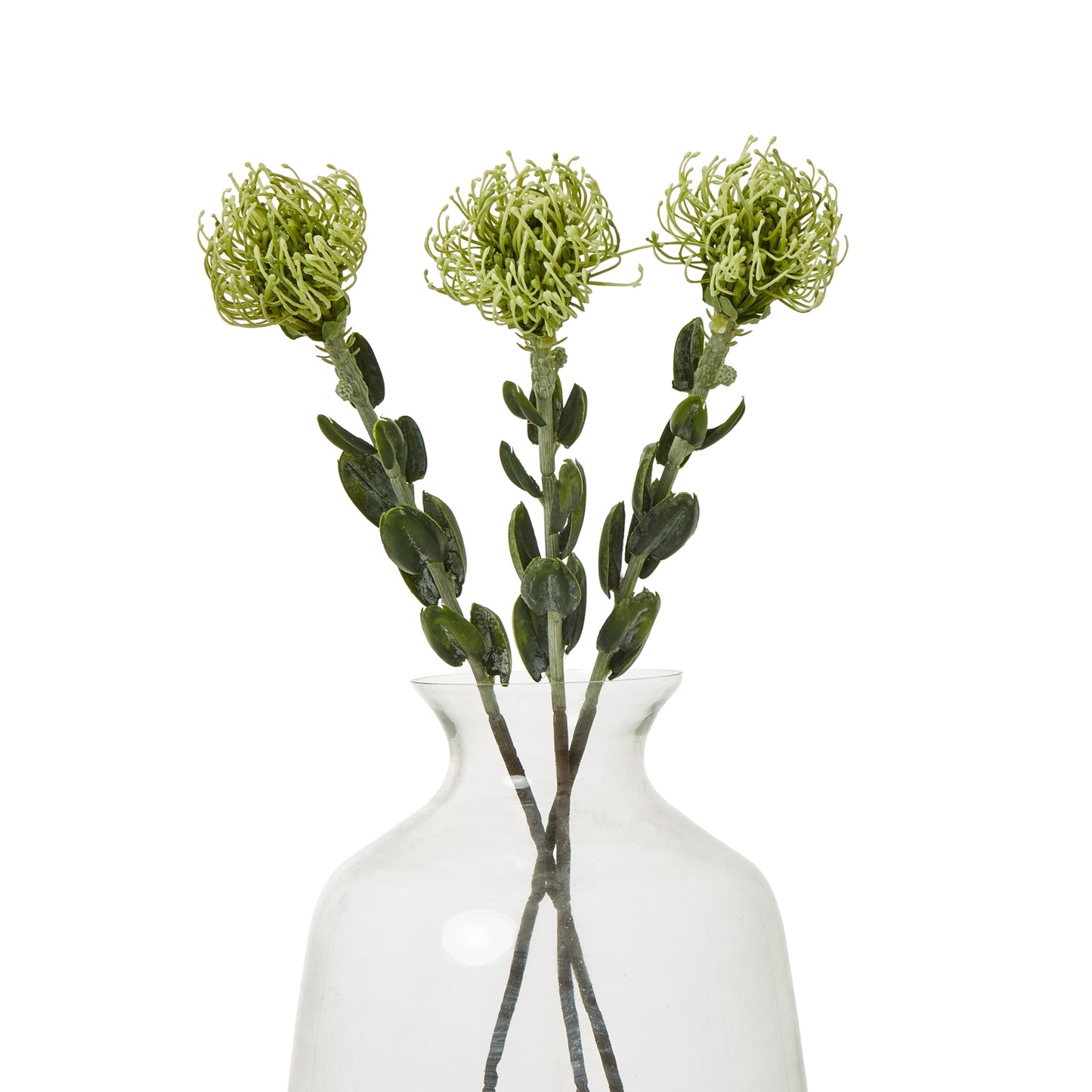 Lush green pincushion protea spray with realistic blooms and foliage, elegantly displayed in a clear glass vase.
