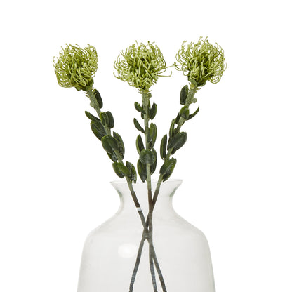 Green Pincushion Protea Spray - Single Stem Flowers from the Quanta Home collection.