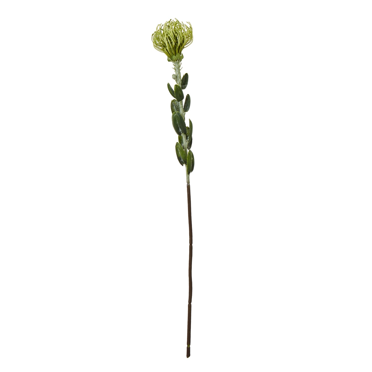 Green Pincushion Protea spray features lifelike petals, dense foliage, and a sleek stem, perfect for elegant home decor.