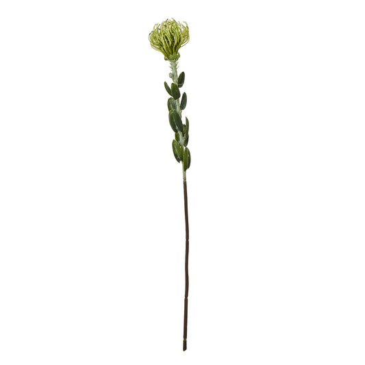 Green Pincushion Protea Spray - Single Stem Flowers from the Quanta Home collection.