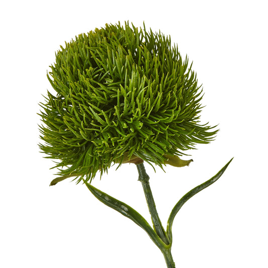 Lush dark green Dianthus stem featuring vibrant, spiky petals and a flexible stem, ideal for elegant floral arrangements.