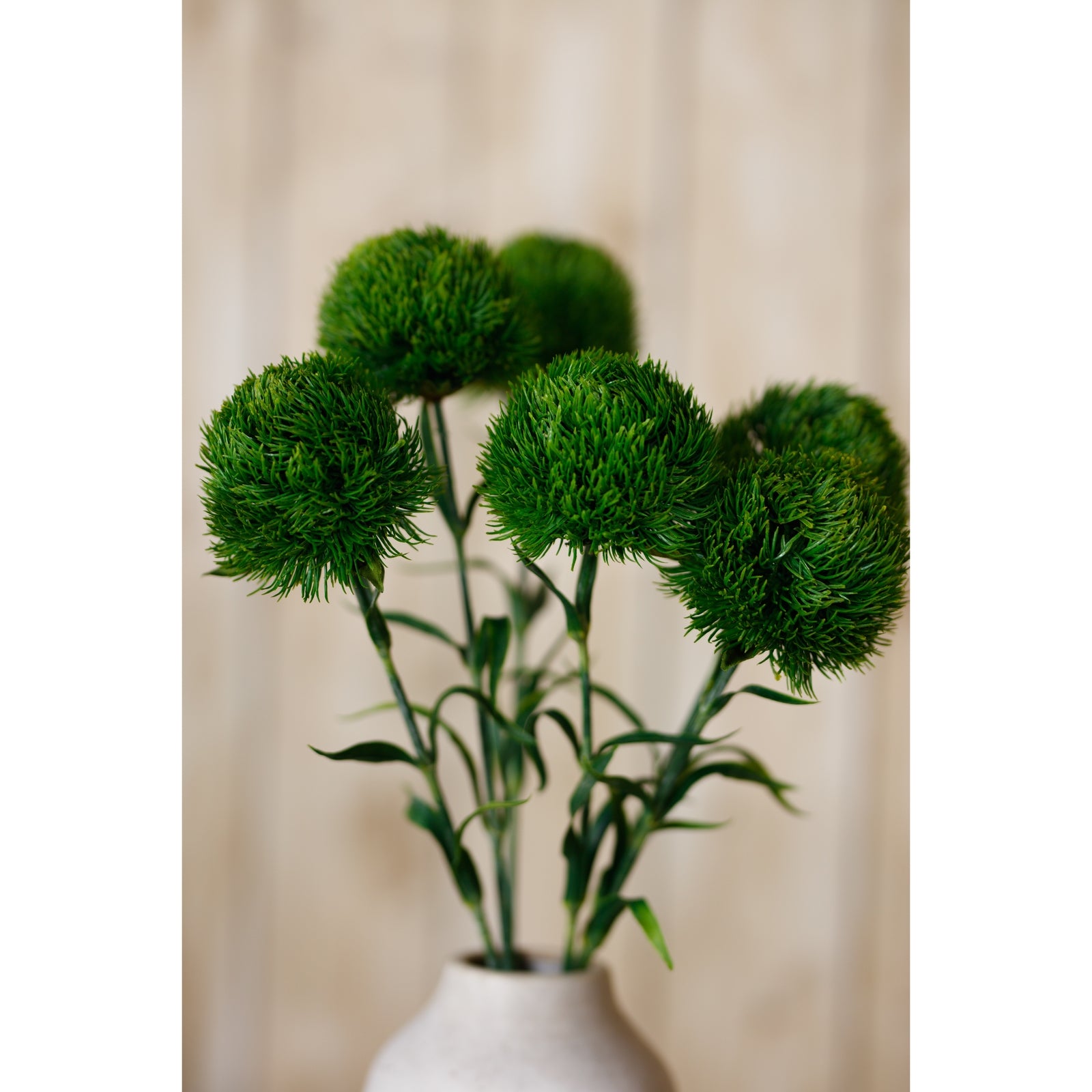 Dark green Dianthus stem featuring lush, rounded blooms and leafy stems, elegantly arranged in a simple vase.
