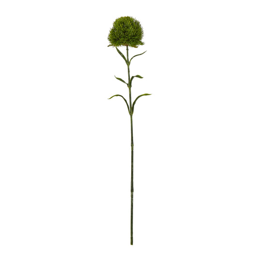 Dark Green Dianthus Stem - Single Stem Flowers from the Quanta Home collection.