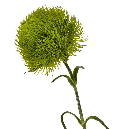 Light green Dianthus stem featuring a lush, textured flowerhead and slender green stem, ideal for elegant floral arrangements.