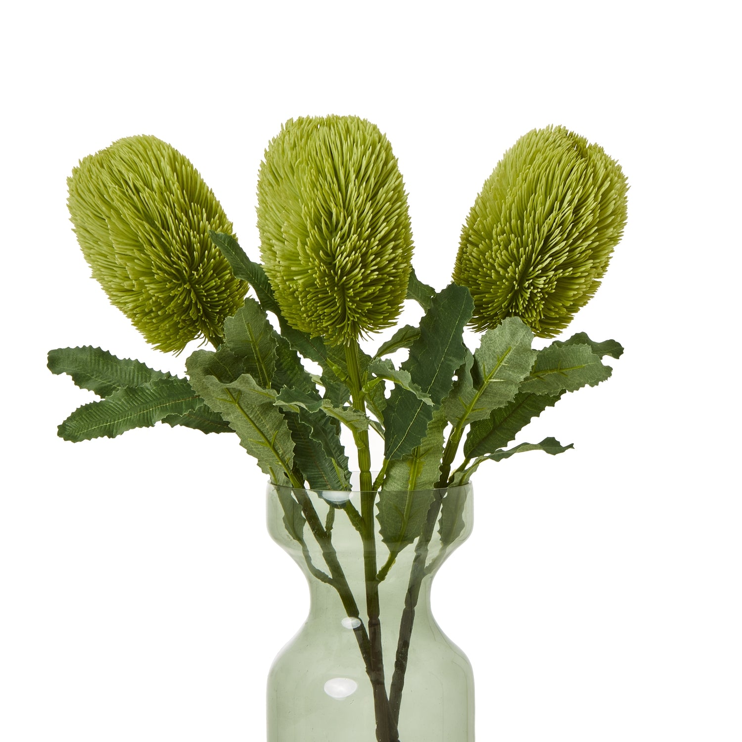 Faux Banksia Serrata stem with three vibrant green, cone-shaped blooms and textured leaves in a clear glass vase.