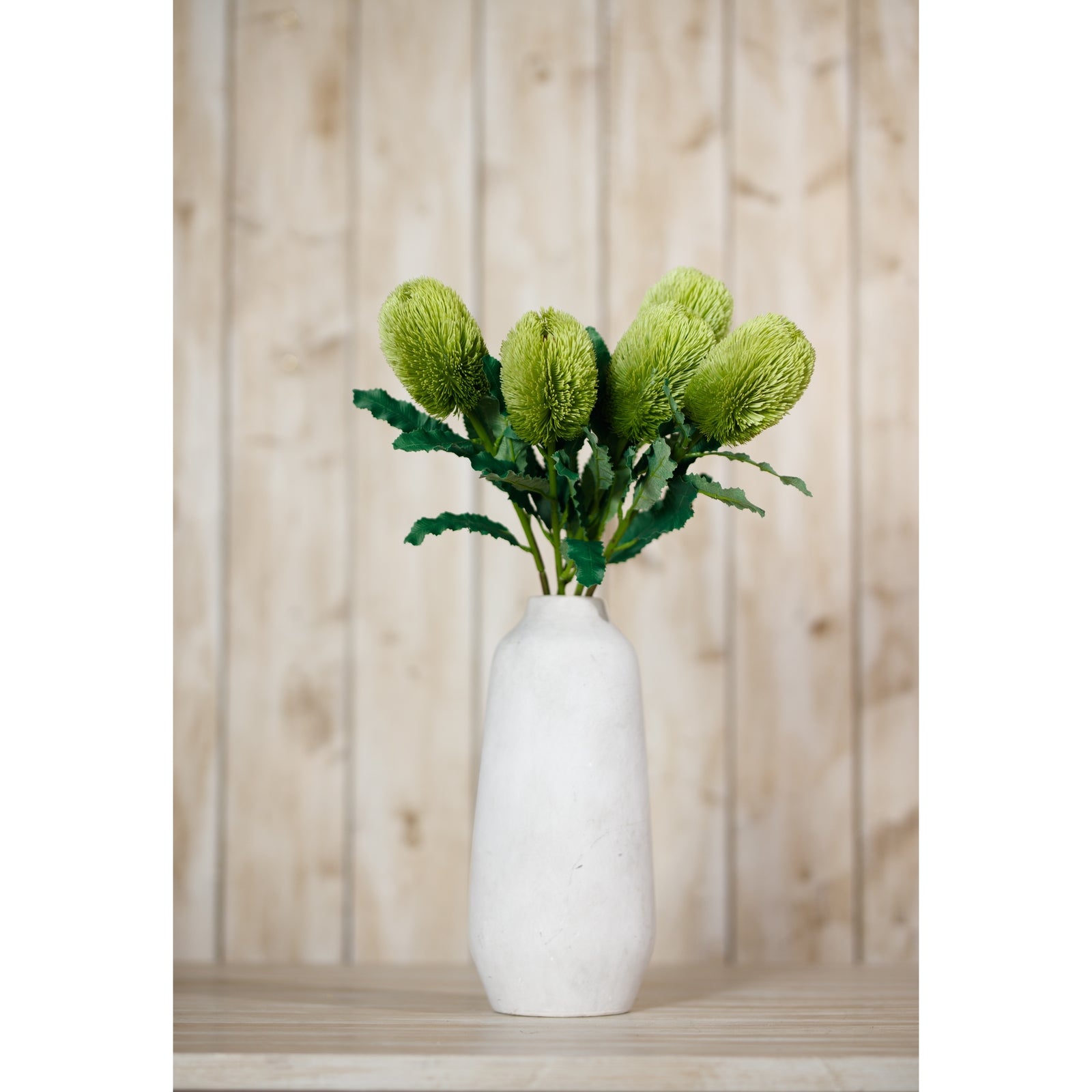 Large green Banksia Serrata stem in a white vase, featuring textured conical blooms and vibrant green leaves, set against a wooden backdrop.