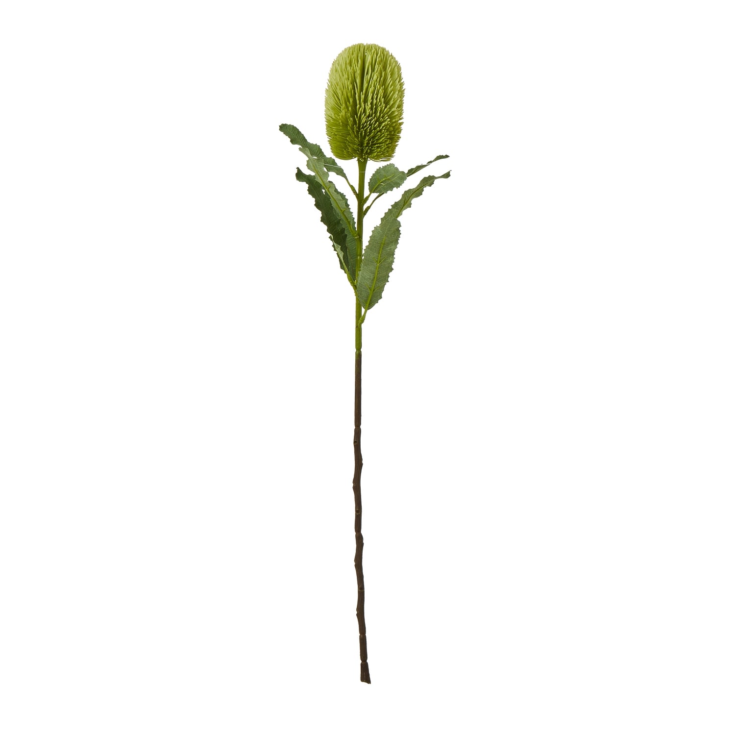 Faux Banksia Serrata stem featuring a vibrant green, textured cone-shaped bloom and lush leaves for elegant décor.