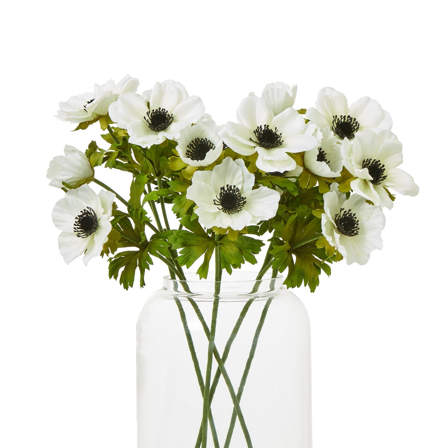White anemone flowers with delicate petals and dark centers, arranged in a clear glass vase, enhancing any decor.