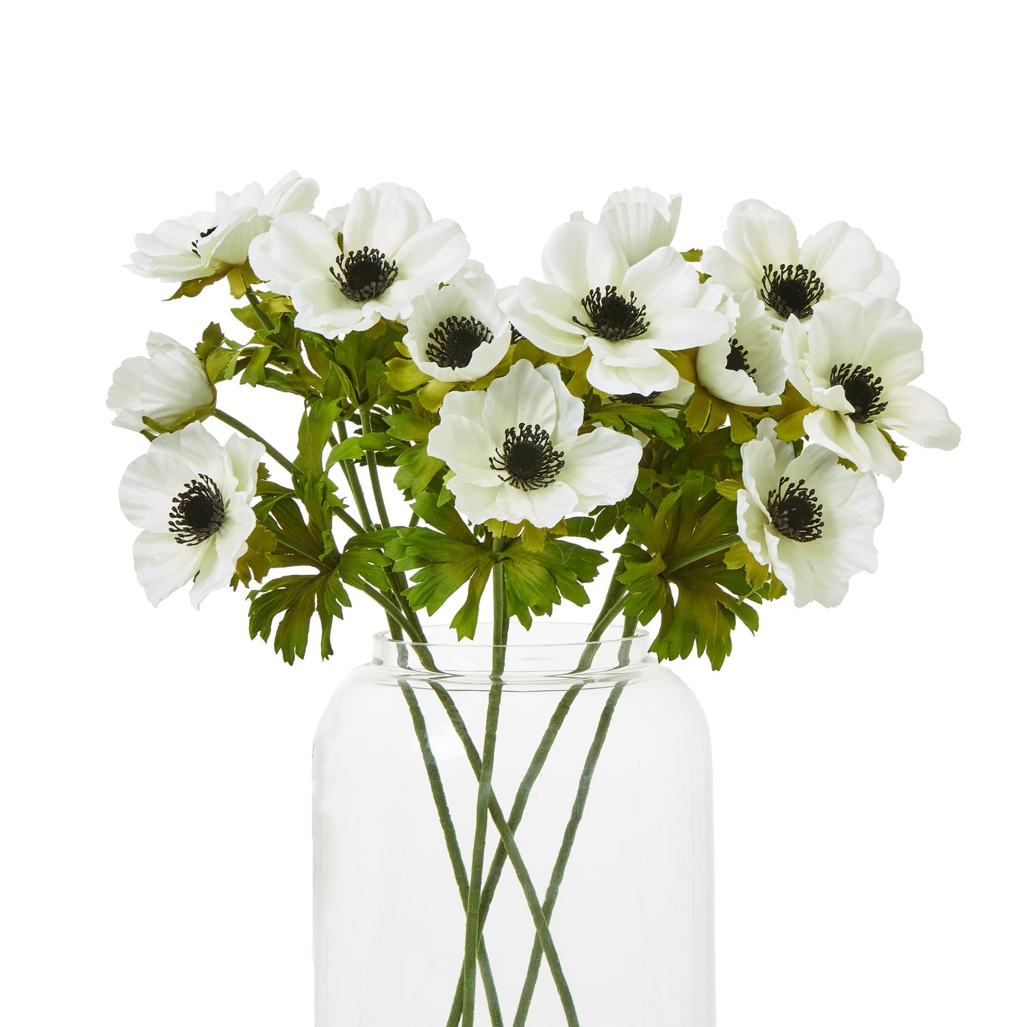 White anemone flowers with delicate petals and dark centers, arranged in a clear glass vase, enhancing any decor.