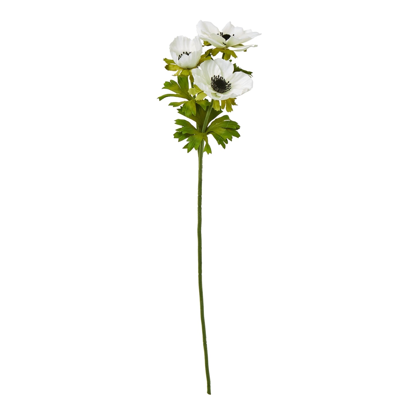 White anemone spray featuring delicate petals and lush green leaves, offering a refined, elegant touch to any decor.