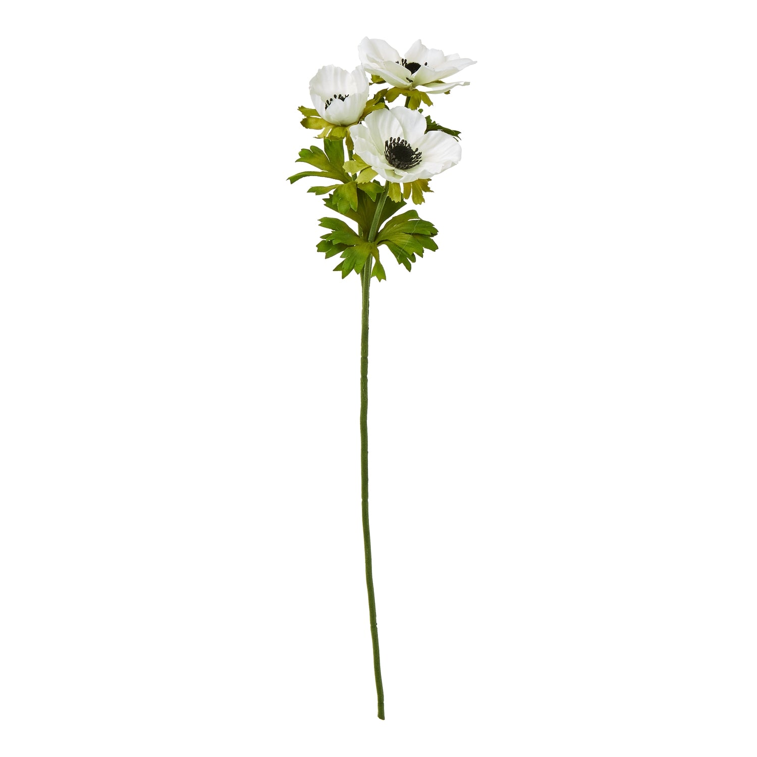 White anemone spray featuring delicate petals and lush green leaves, offering a refined, elegant touch to any decor.