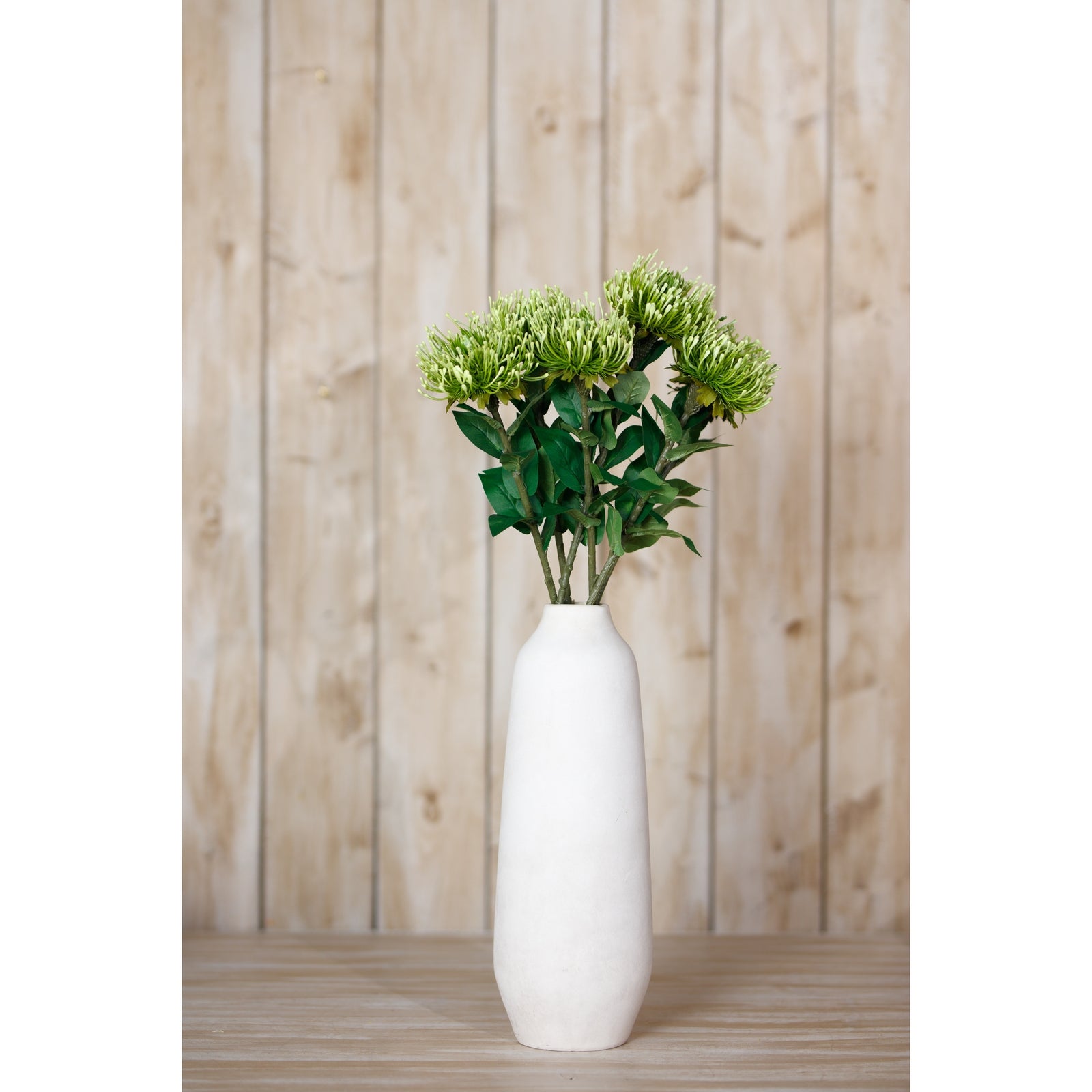 Green Protea Lorea stem with pom-pom blooms and lush green leaves in a white vase, set against a rustic wooden backdrop.