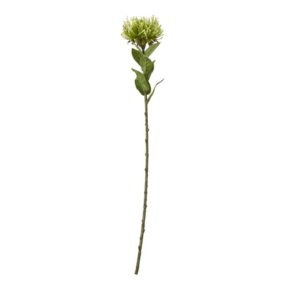 Green Protea Lorea Stem - Single Stem Flowers from the Quanta Home collection.