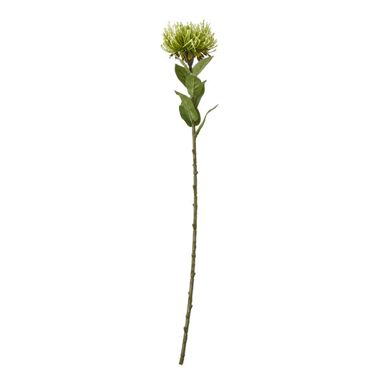 Green Protea Lorea Stem - Single Stem Flowers from the Quanta Home collection.