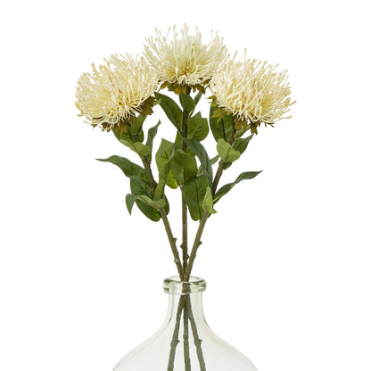 Cream Protea Lorea Stem - Single Stem Flowers from the Quanta Home collection.