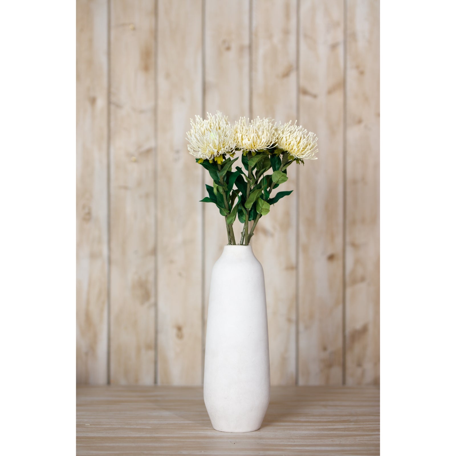 Cream protea lorea stem in a sleek white vase, featuring lush green leaves and textured ivory blooms, against a warm wood backdrop.
